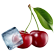 option-icon