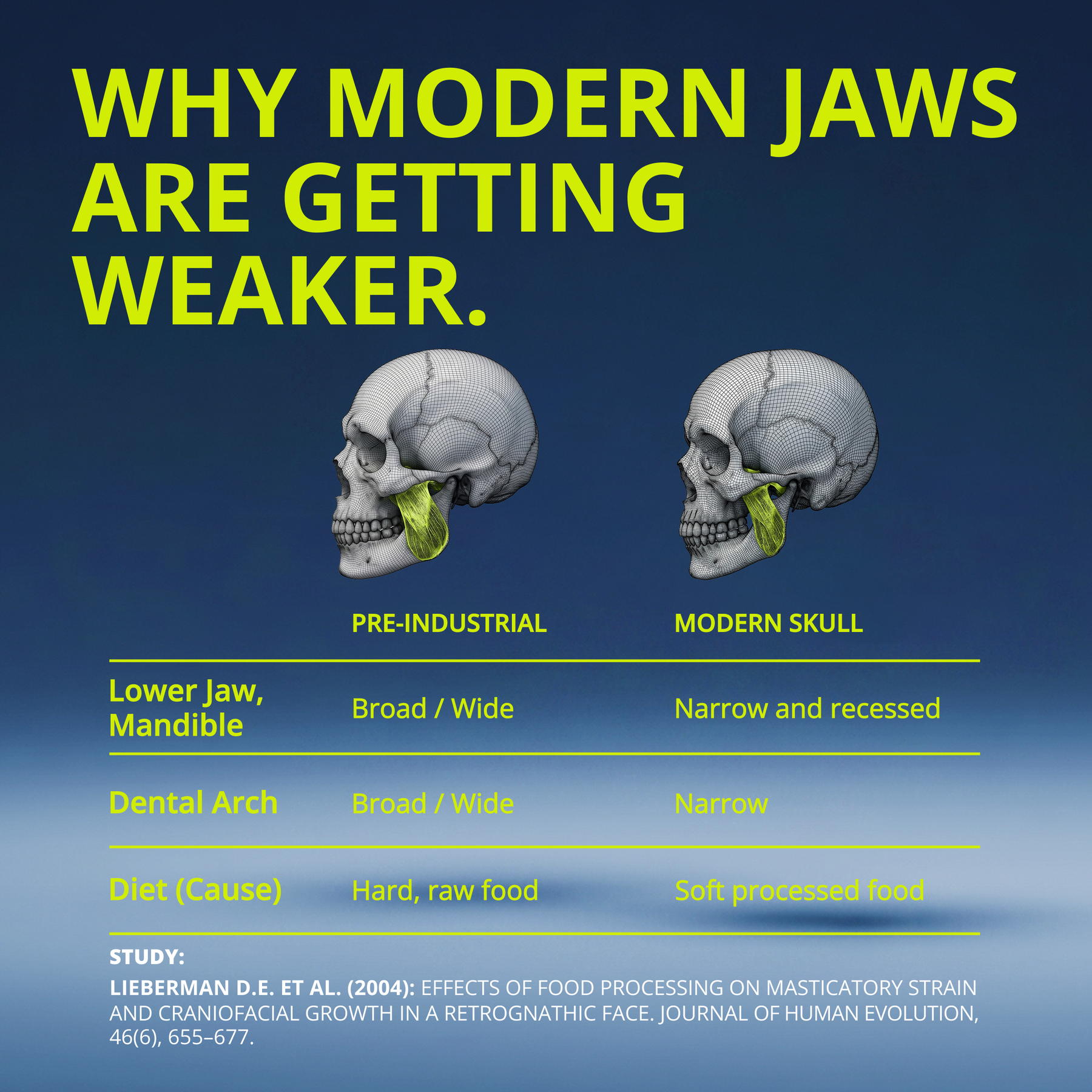 JAWLINER® Chewing Gum Hard