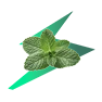 option-icon