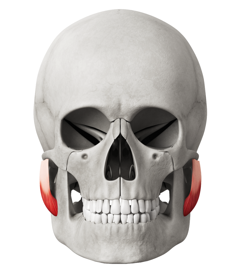 What Are Hollow Cheeks?